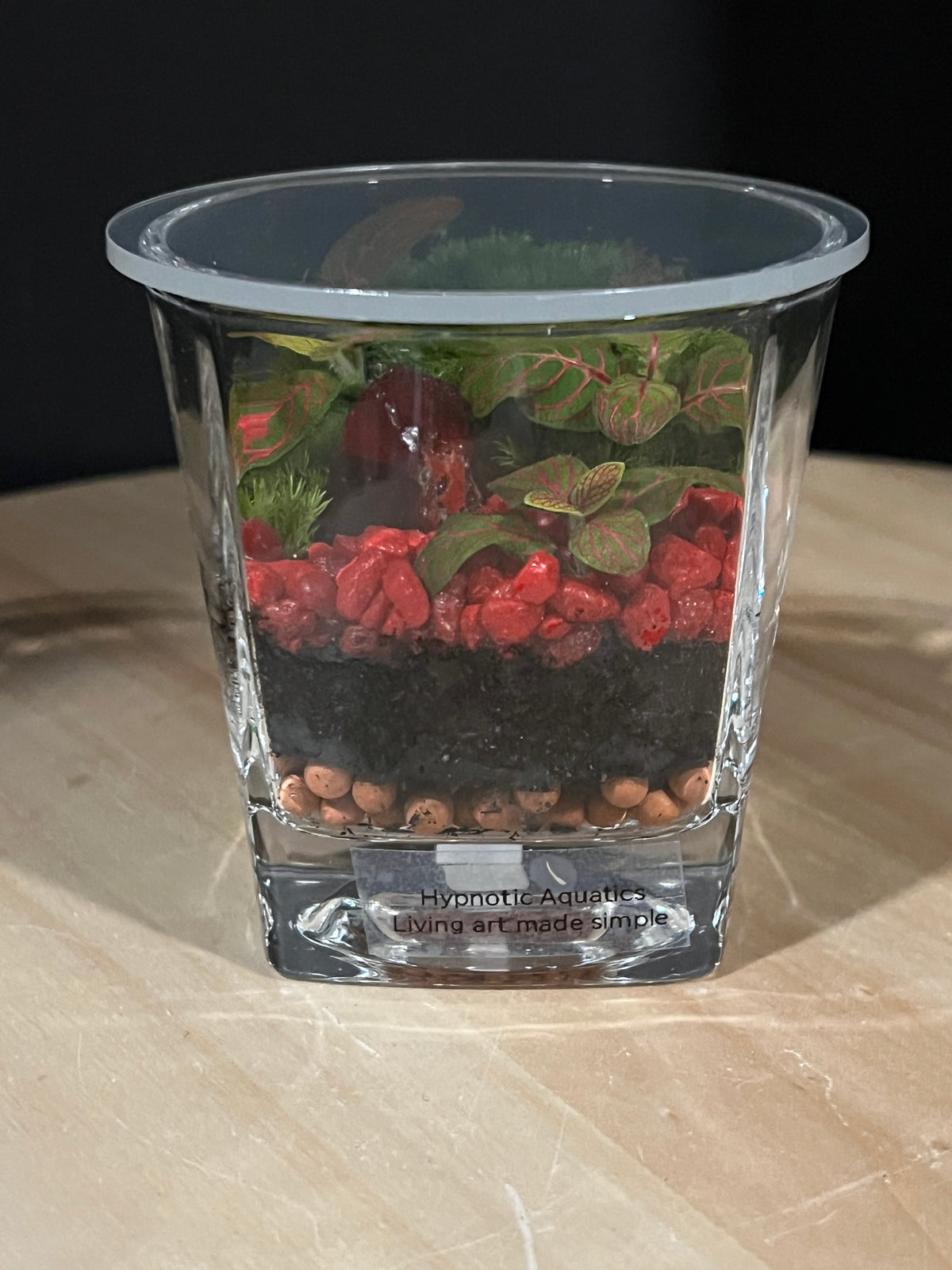 Terrarium 952