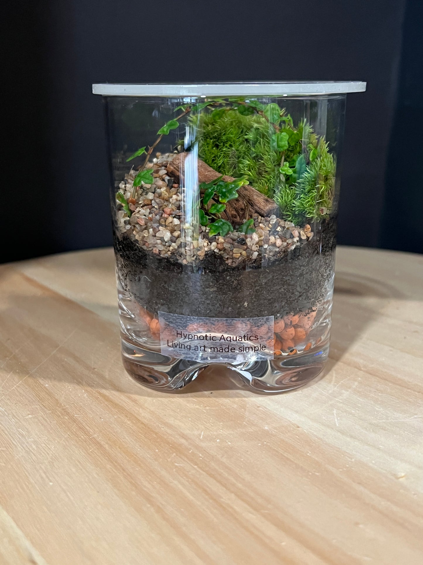 Terrarium 911
