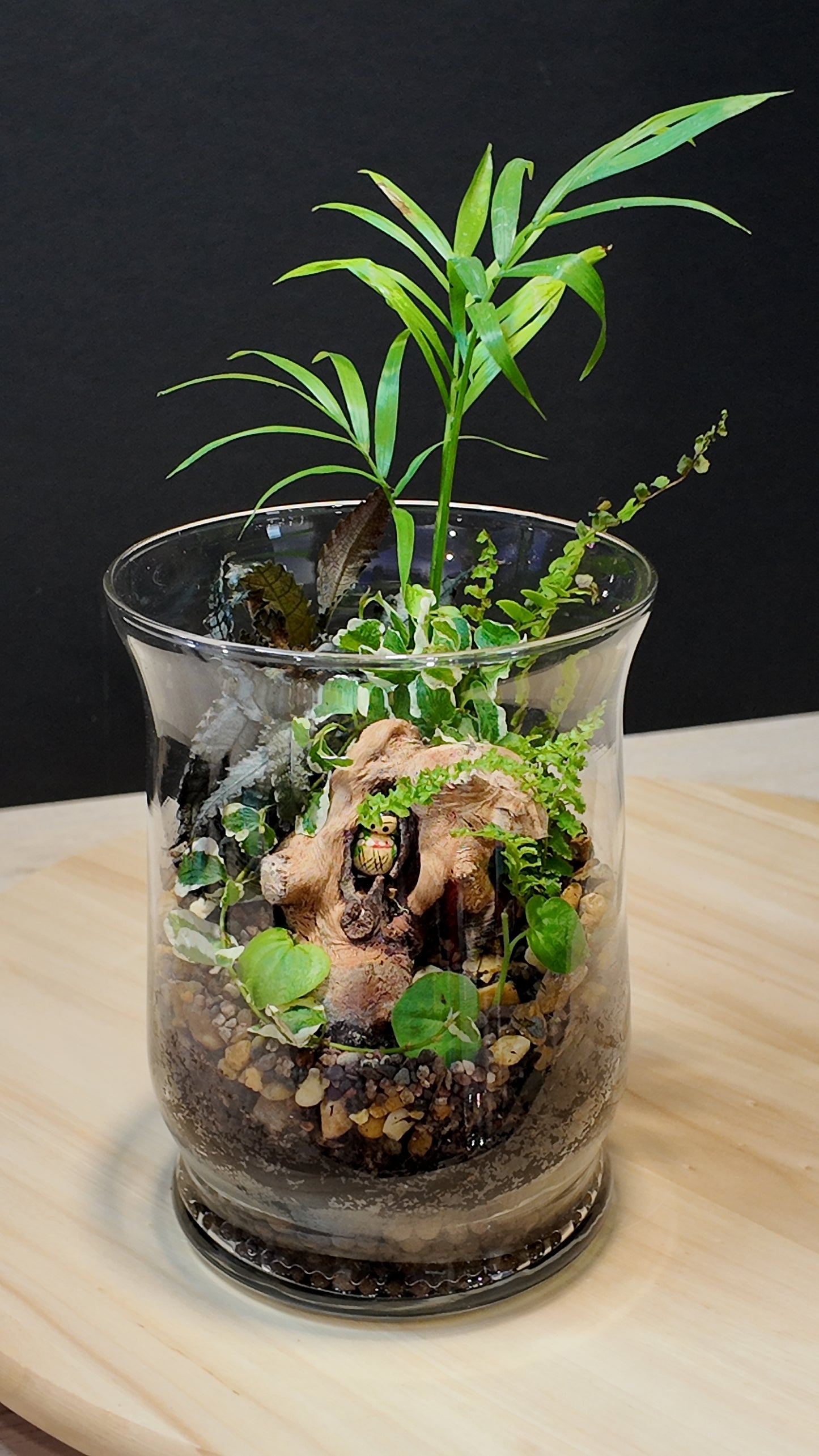 Terrarium #16