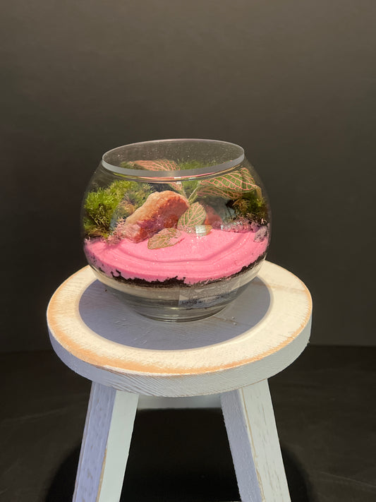 Terrarium 340