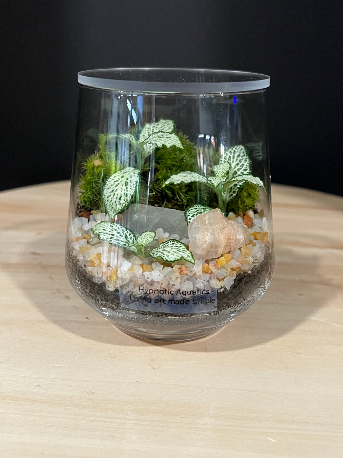 Terrarium 994