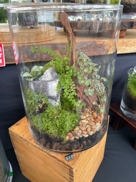 Terrarium 935