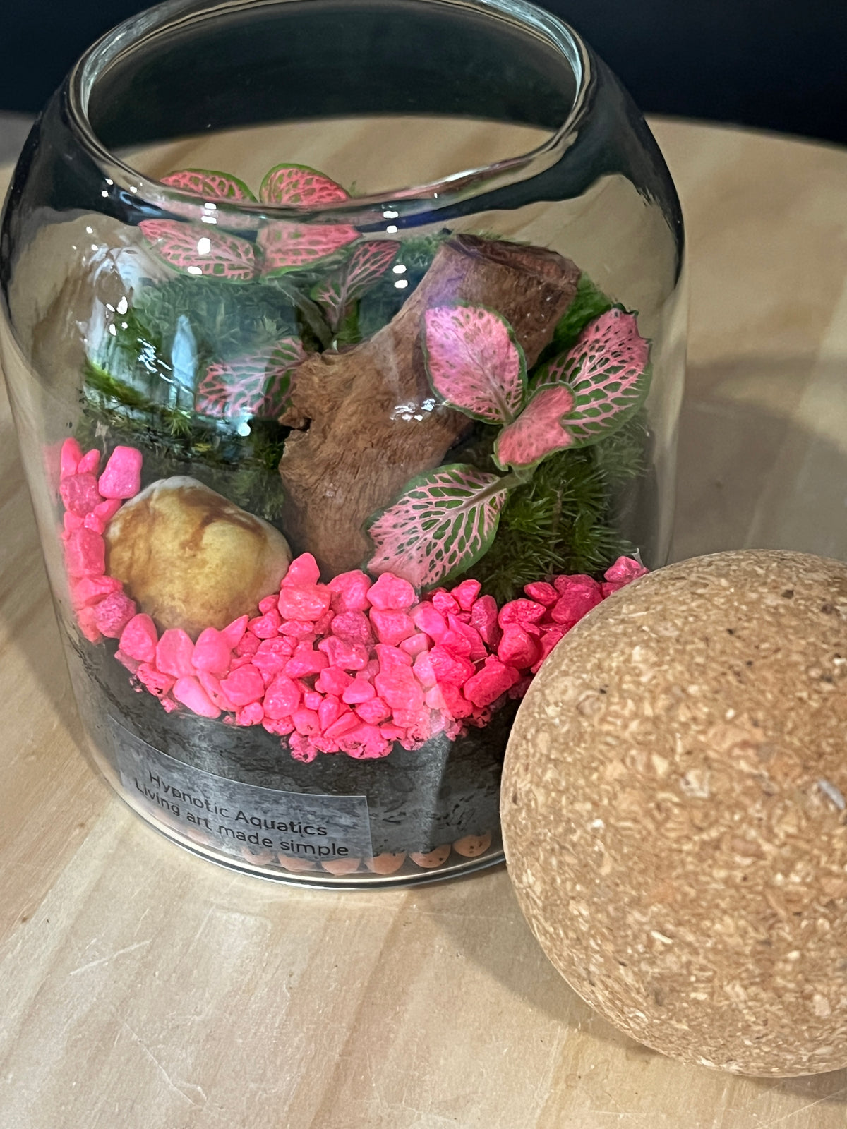 Terrarium 976