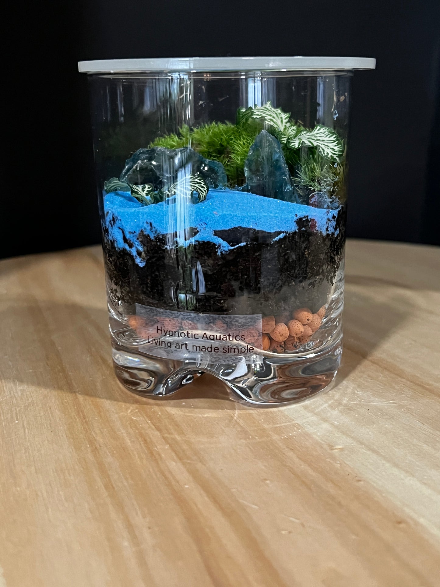 Terrarium 913