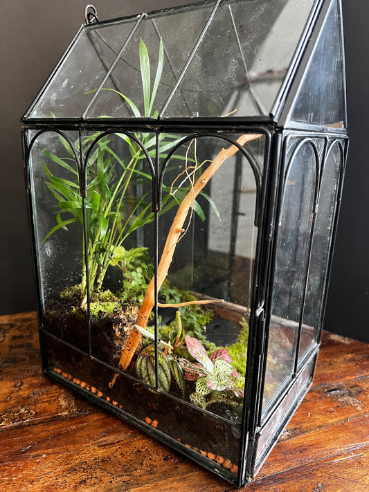 Terrarium 868