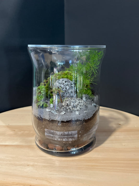 Terrarium 729