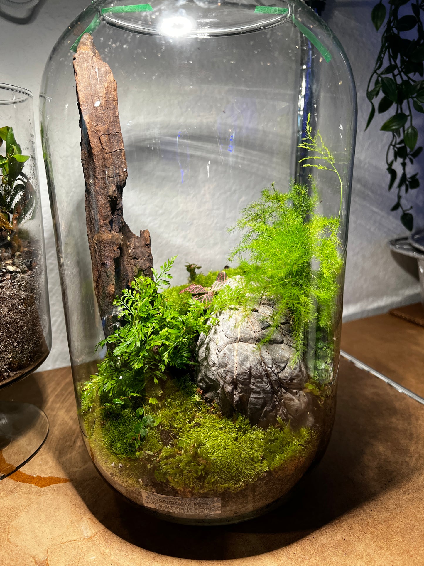 Terrarium 930