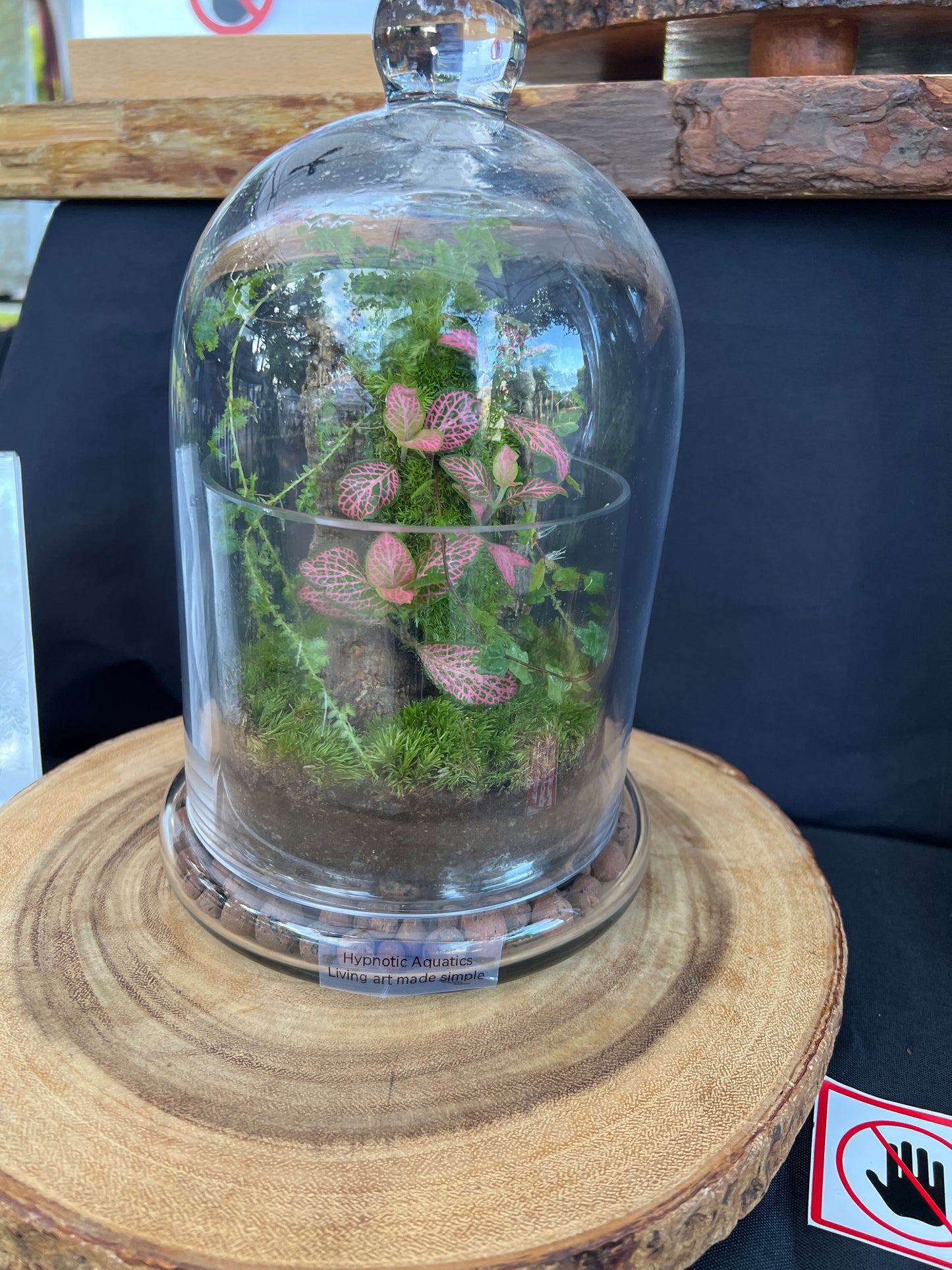 Terrarium 933