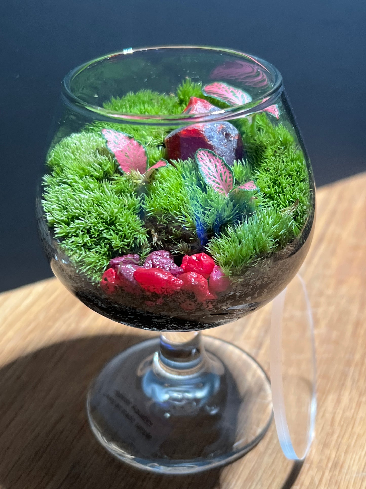 Terrarium 525