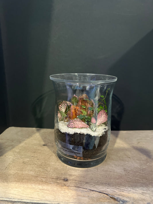 Terrarium 473