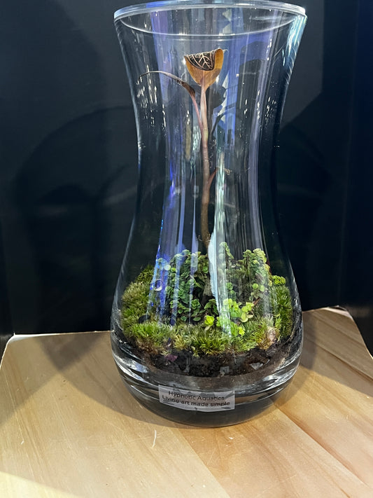 Terrarium 822