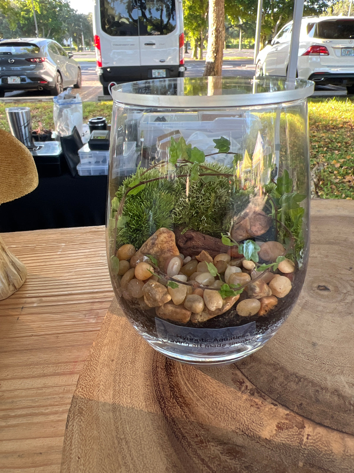 Terrarium 940
