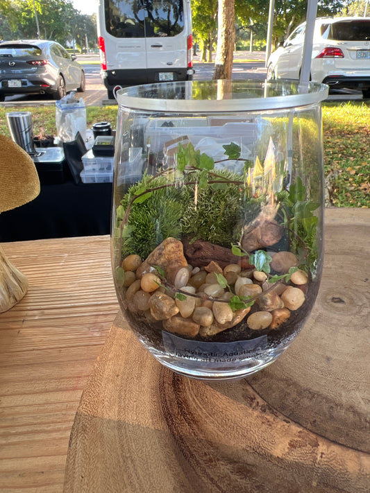 Terrarium 940