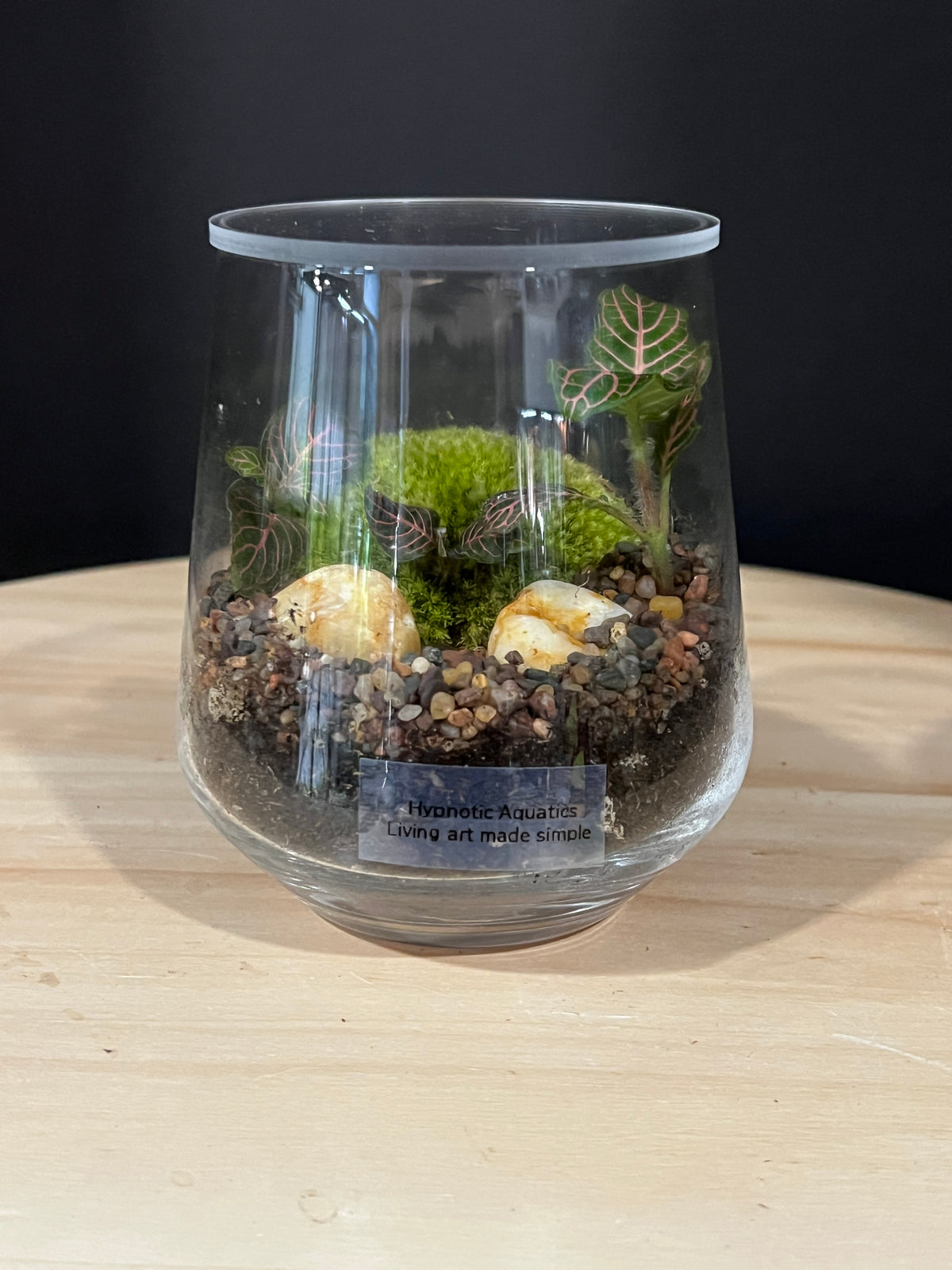 Terrarium 992