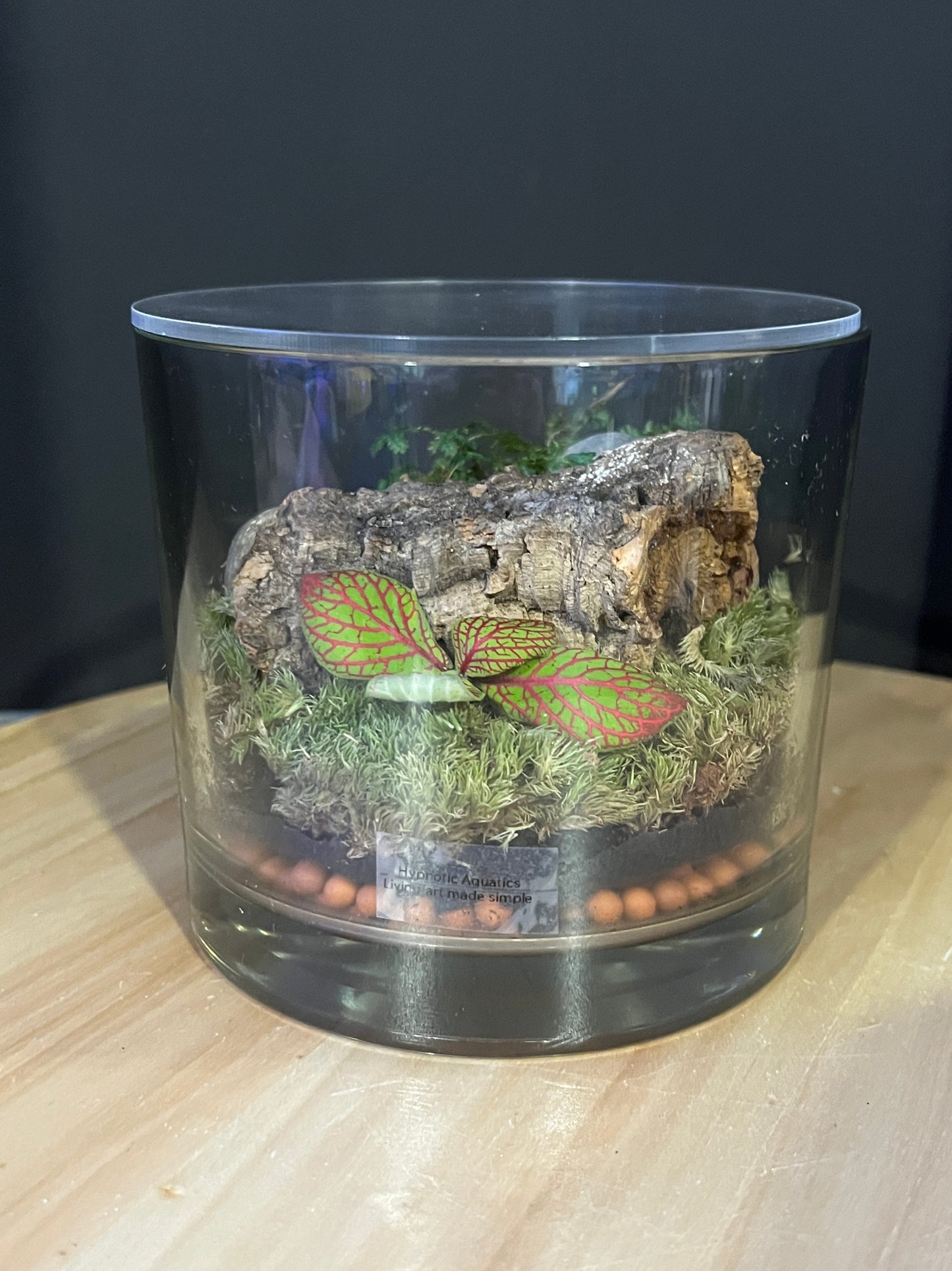 Terrarium 830