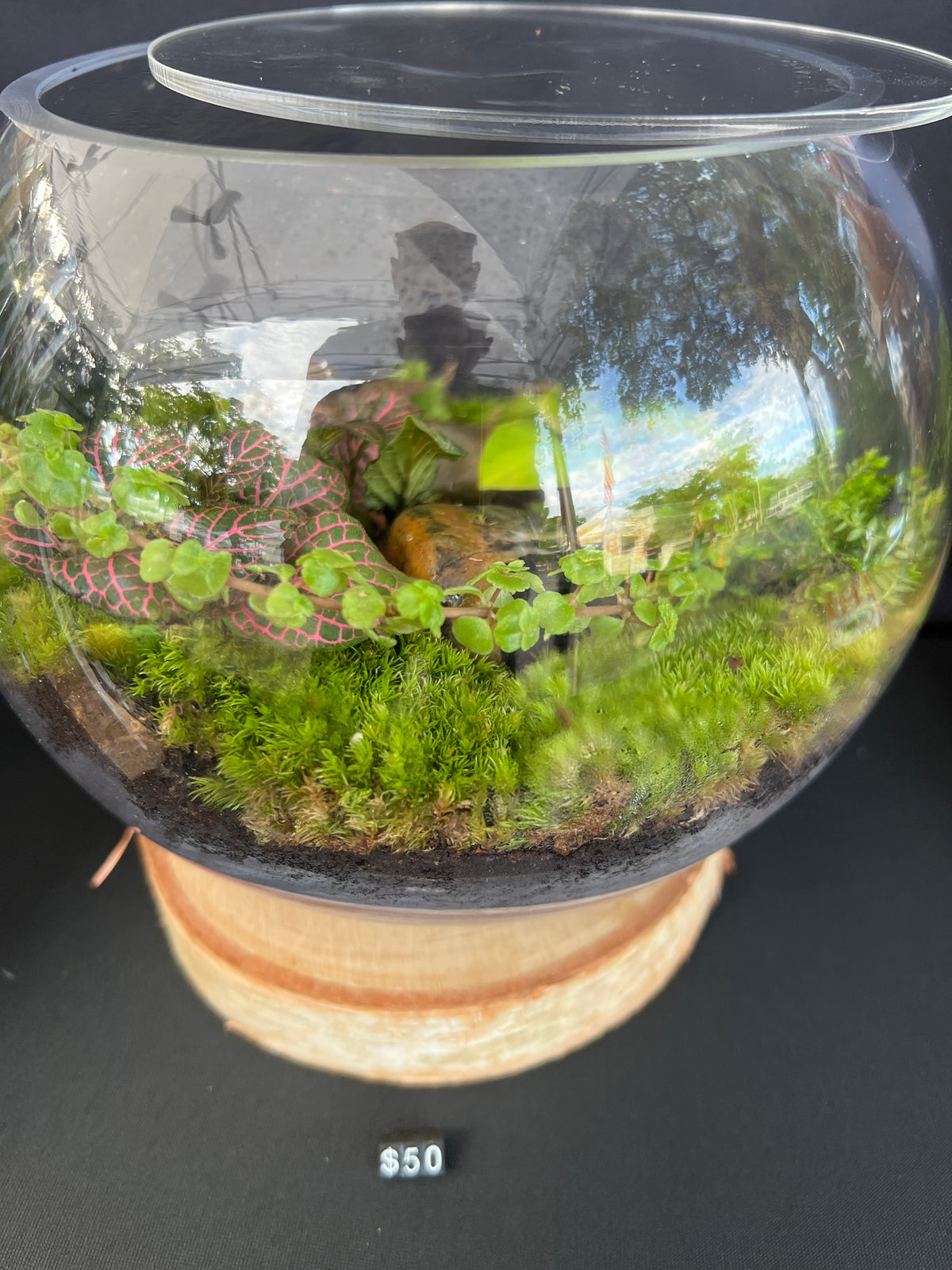 Terrarium 936