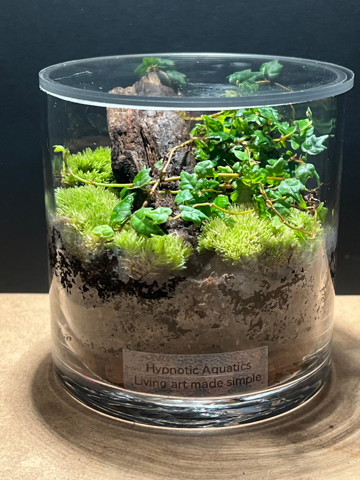 Terrarium 502