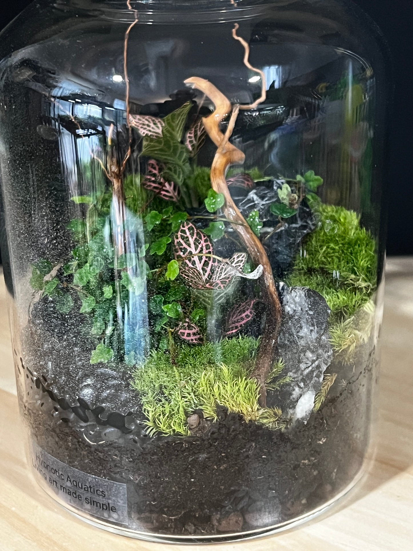 Terrarium 907