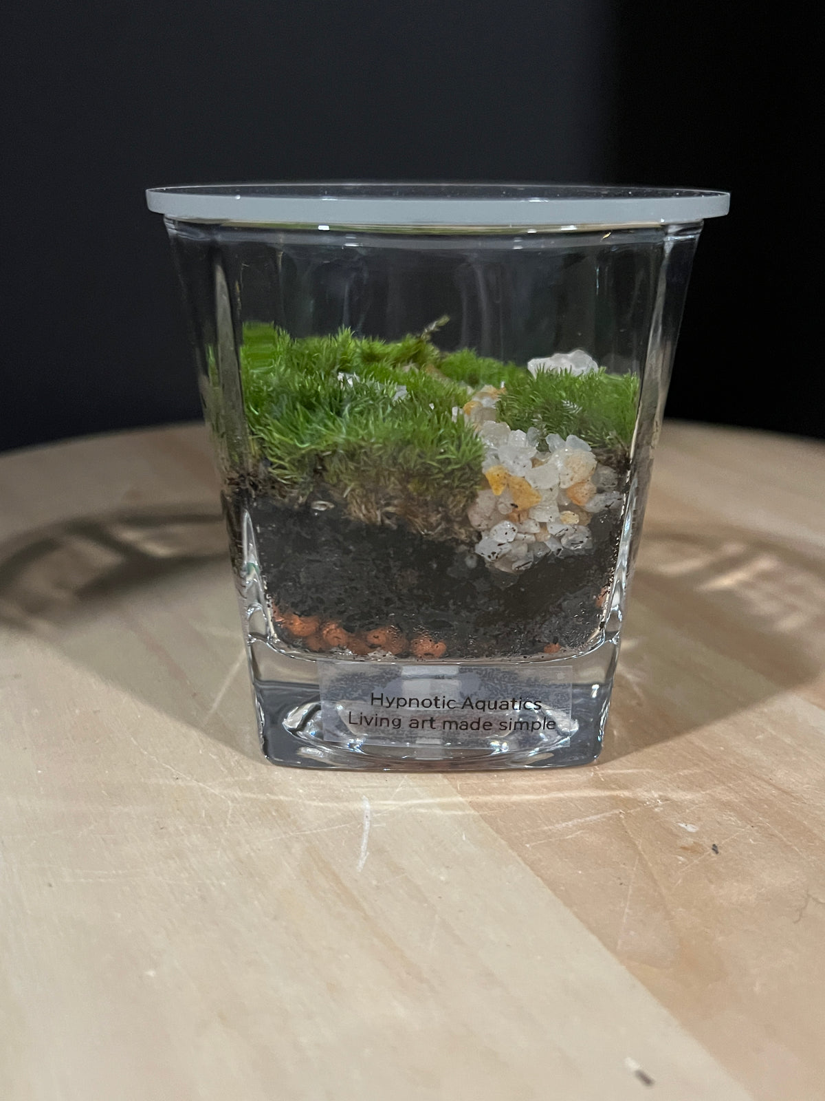 Terrarium 949