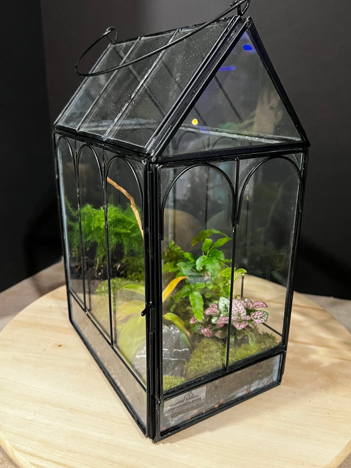 Terrarium 996