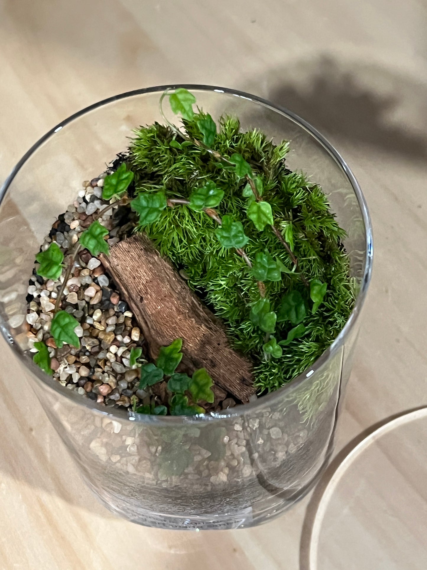 Terrarium 911