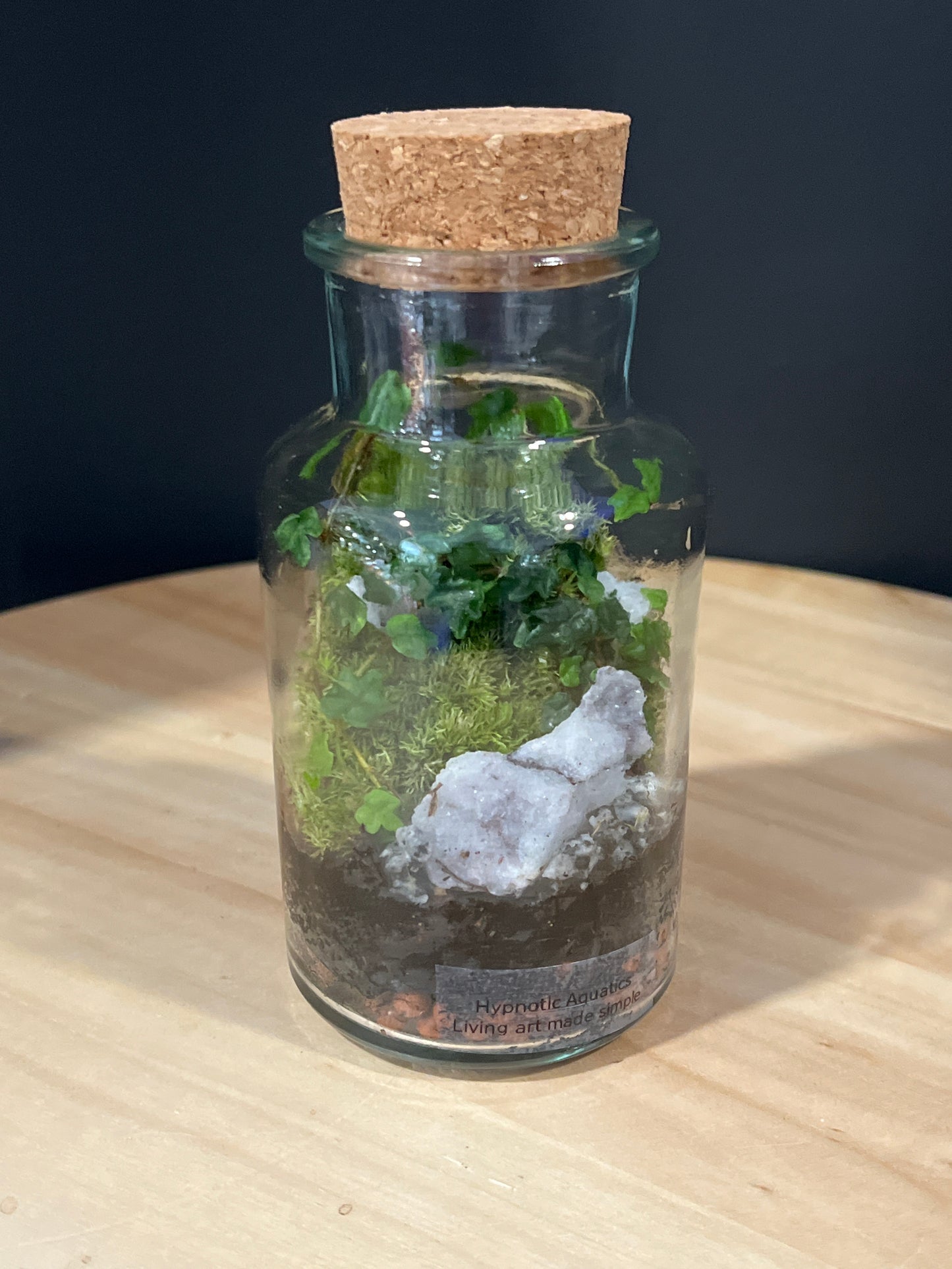 Terrarium 726