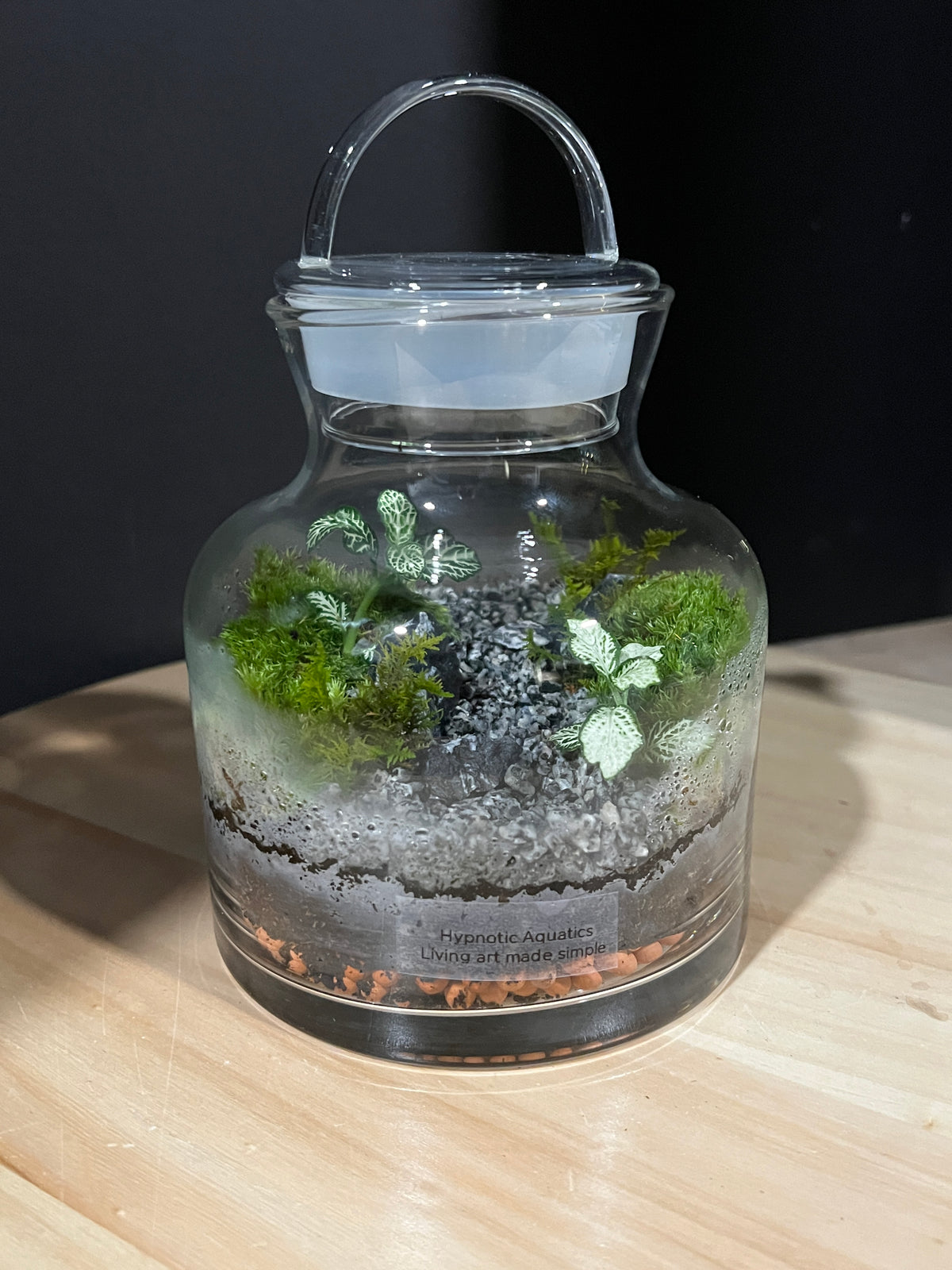 Terrarium 963
