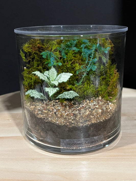 Terrarium 965