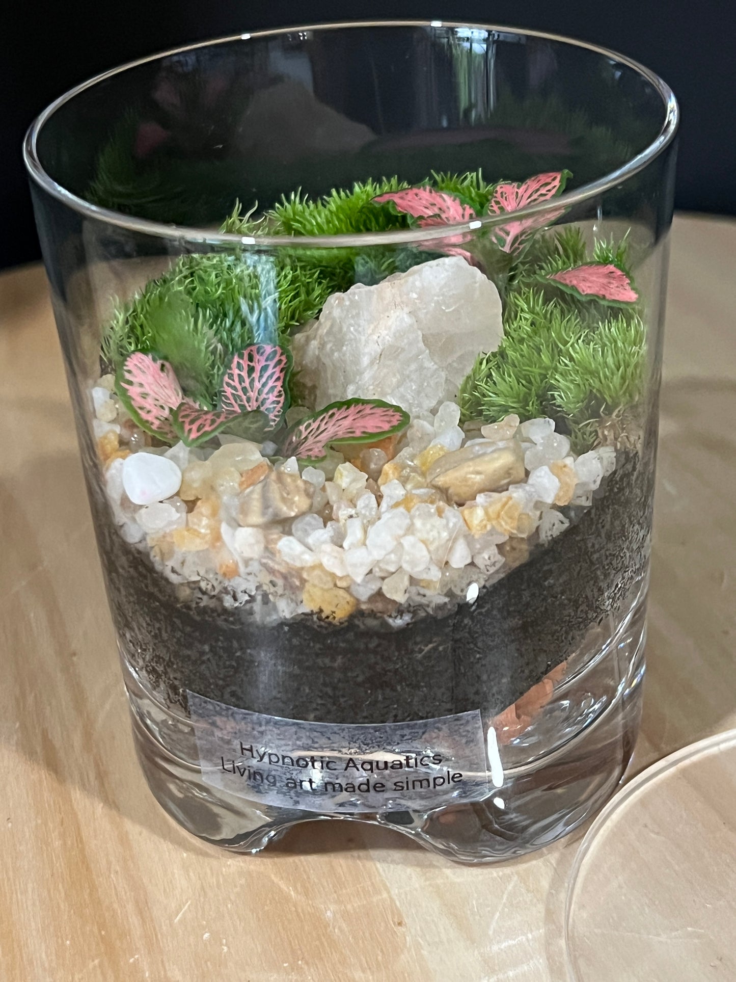 Terrarium 910
