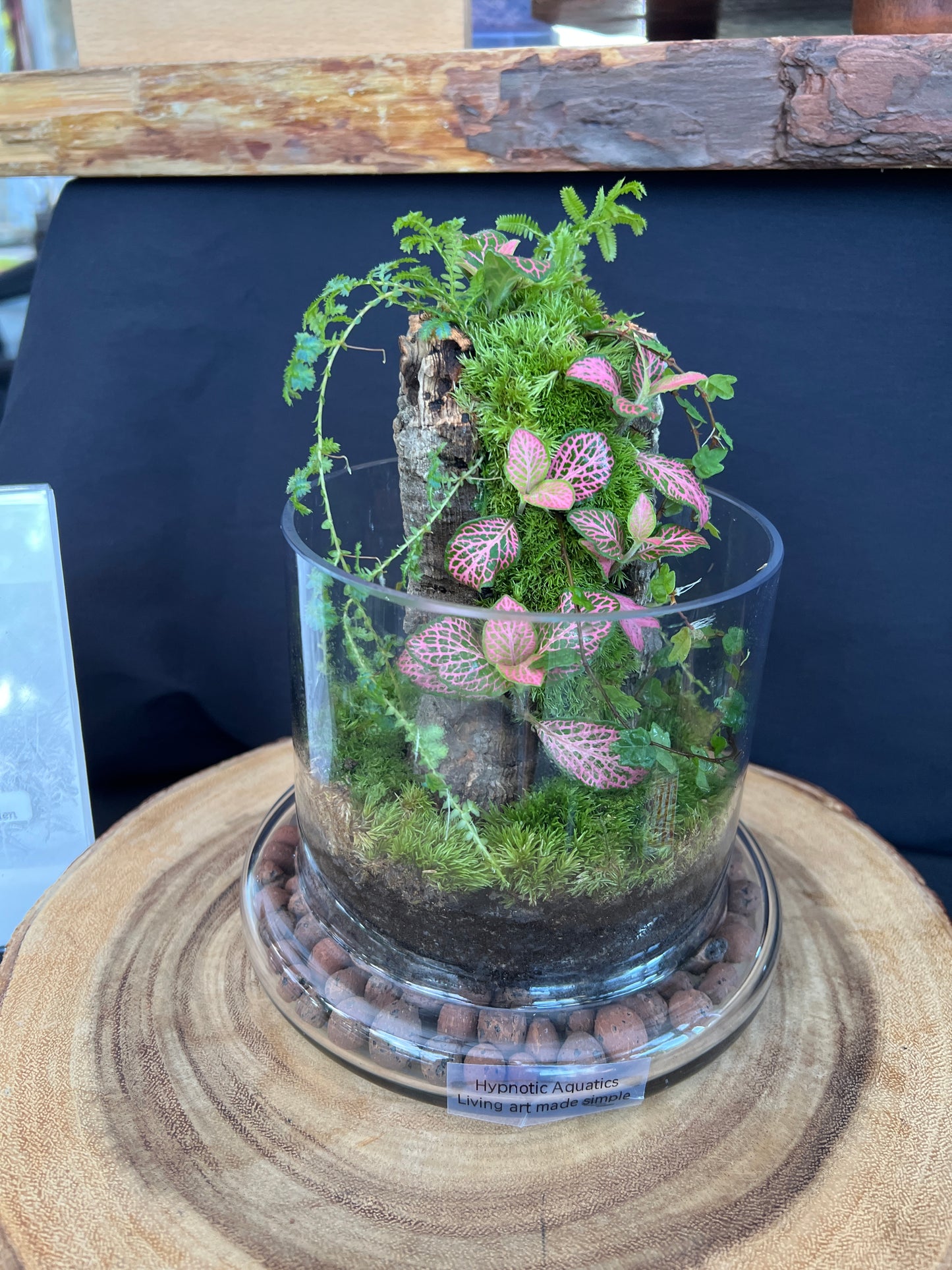 Terrarium 933