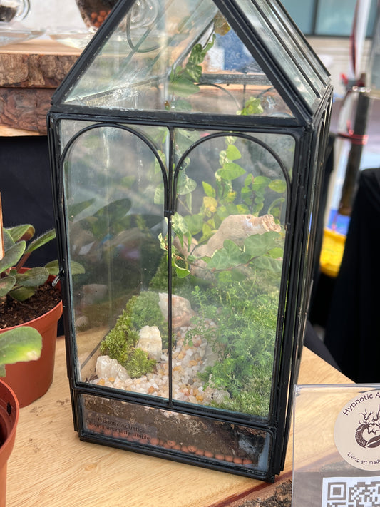 Terrarium 841
