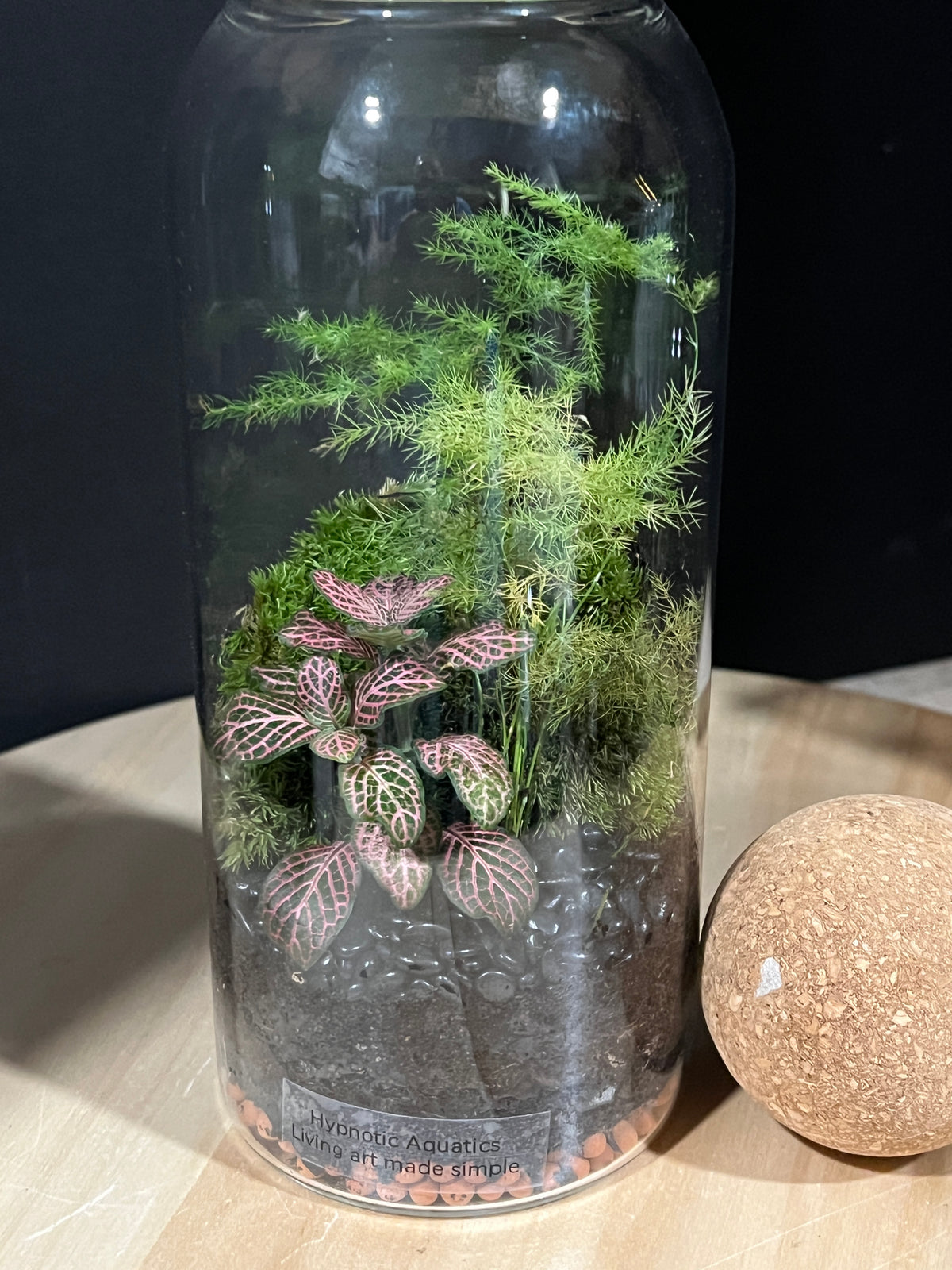 Terrarium 956