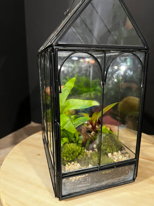 Terrarium 990