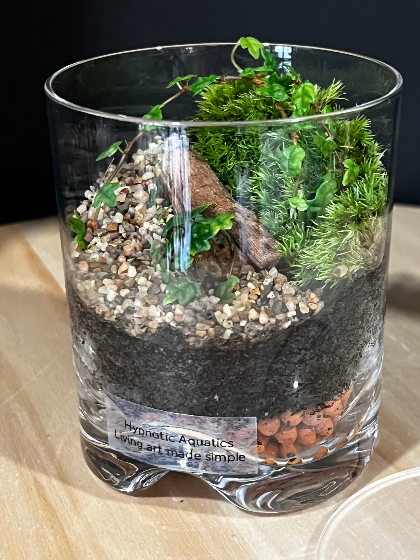 Terrarium 911