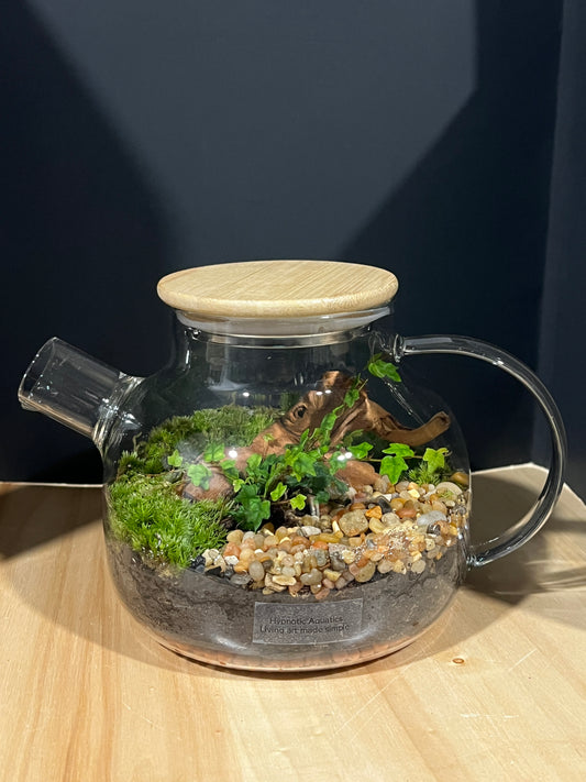 Terrarium 803