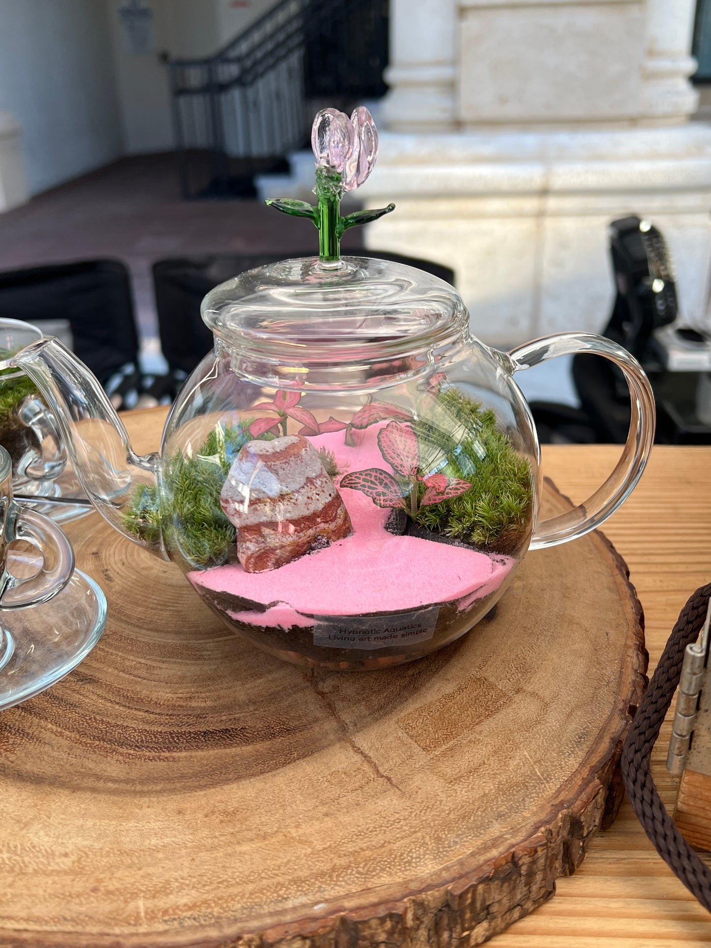 Terrarium 816