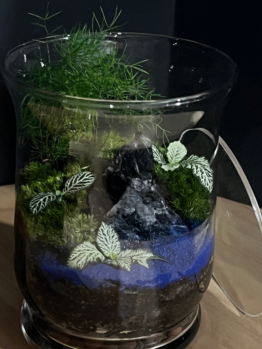 Terrarium 798