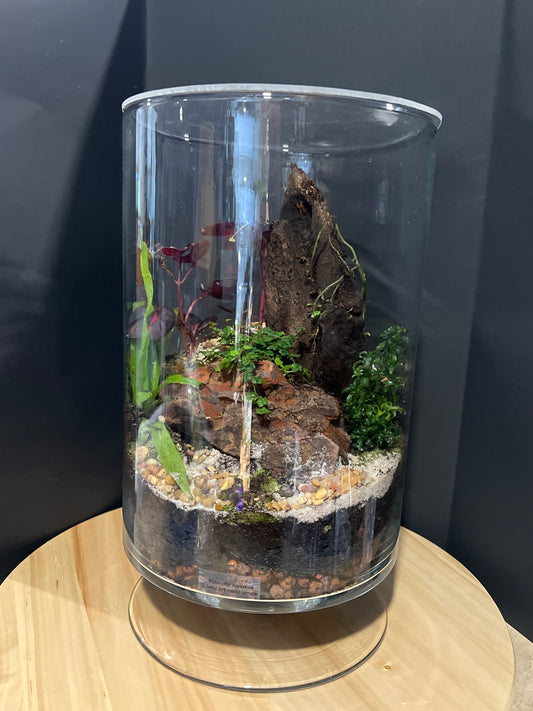 Terrarium 728