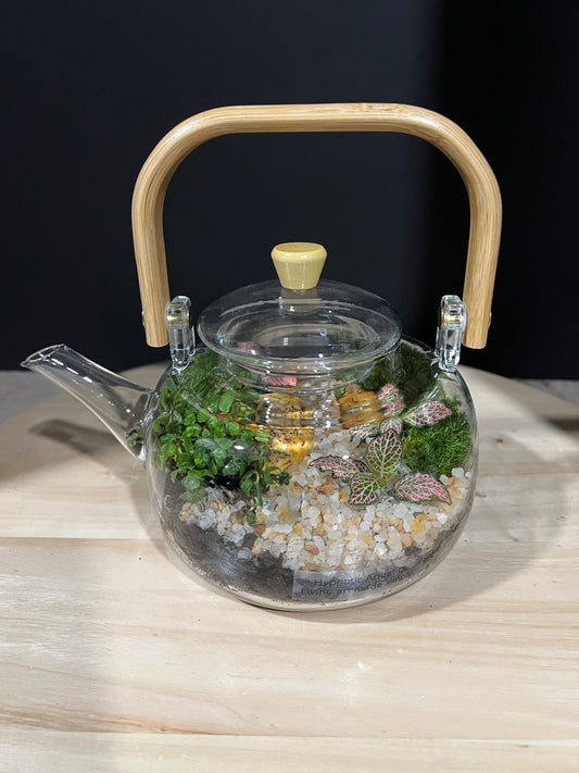 Terrarium 966