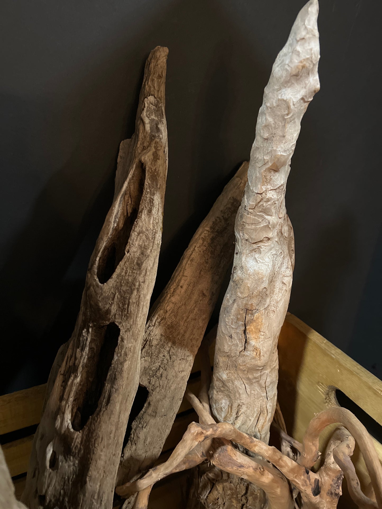 Spider/Cypress/Drift Wood