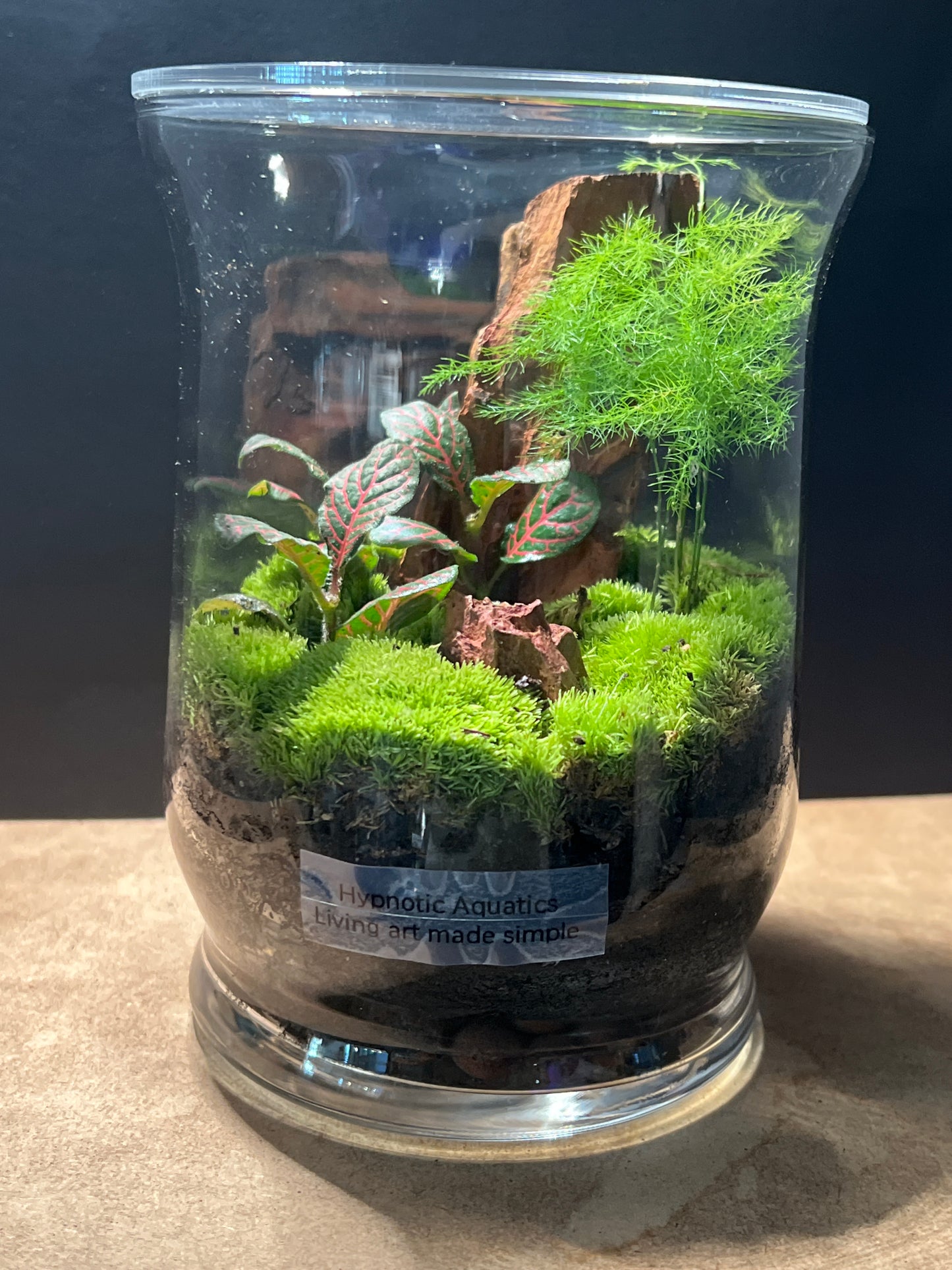 Terrarium 285