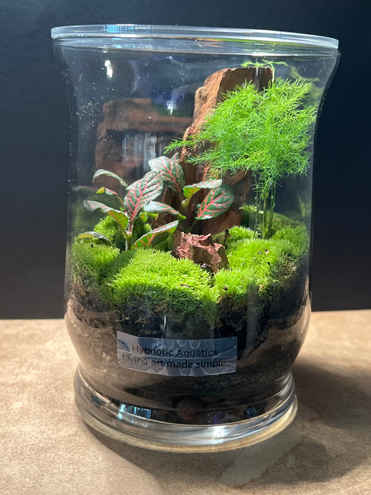Terrarium 285