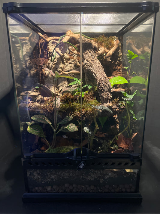 Terrarium 360 Habitat