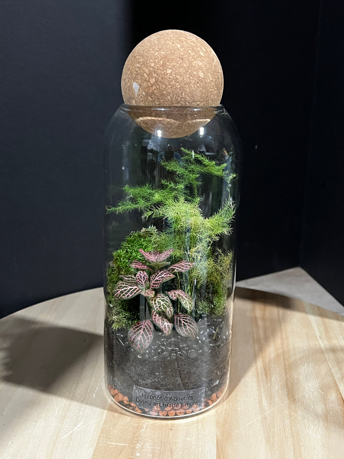 Terrarium 956