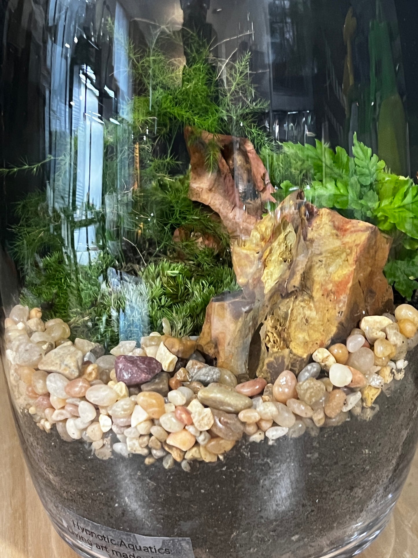 Terrarium 906