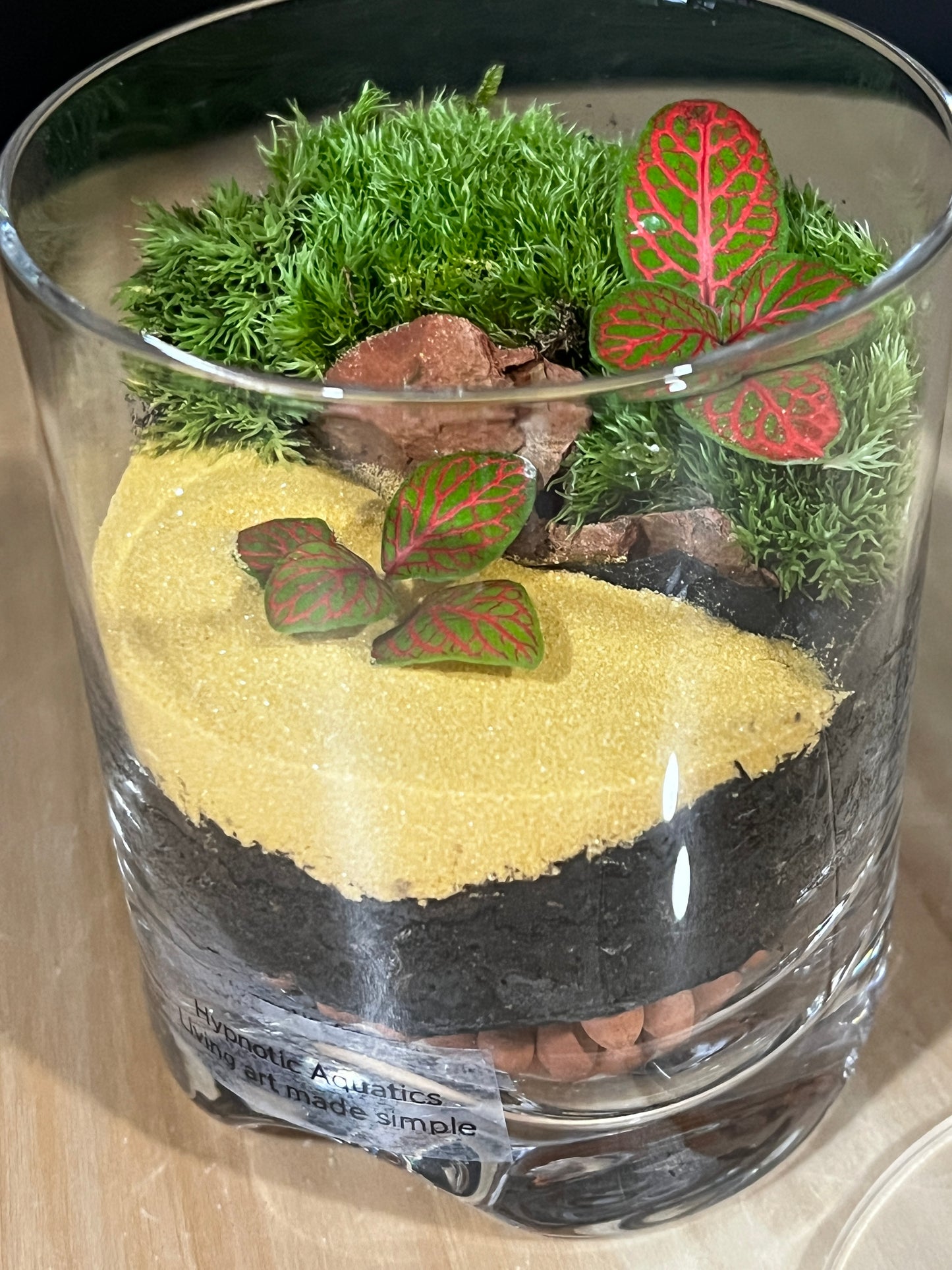Terrarium 912