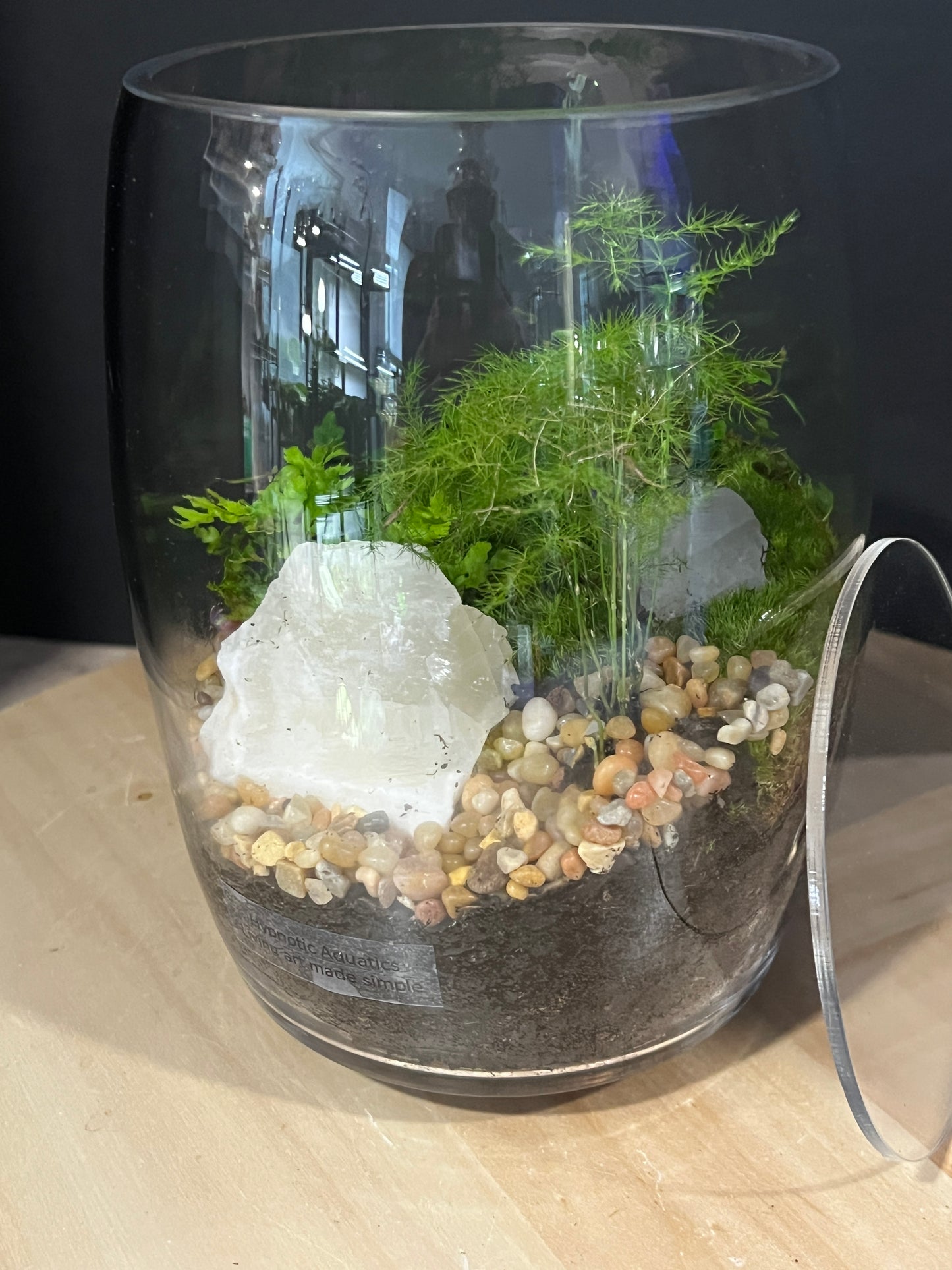 Terrarium 917
