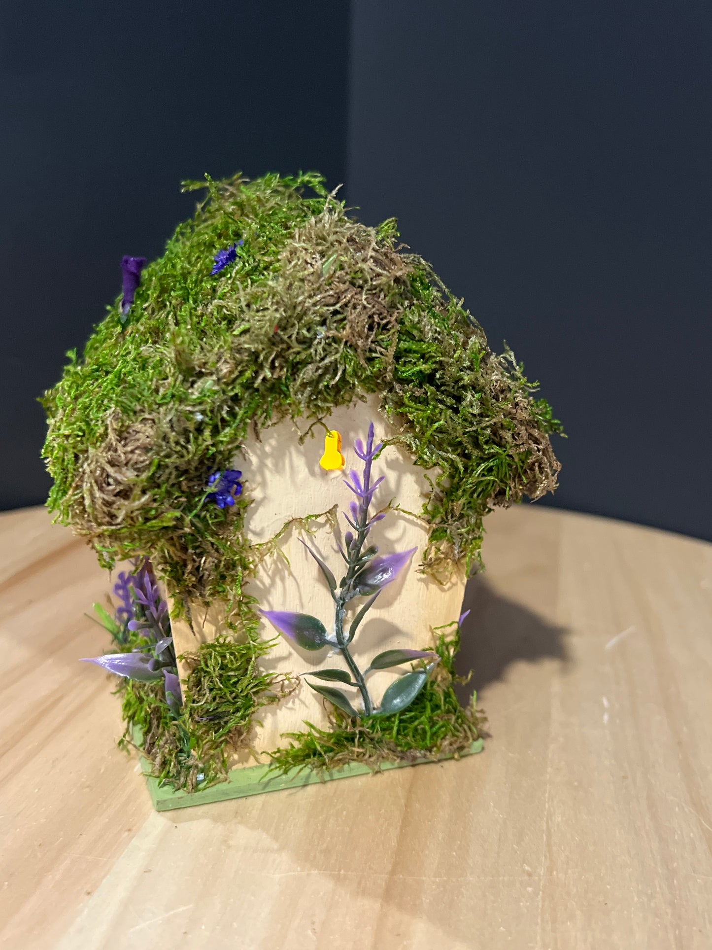 Fairy Garden House: Quiet Space