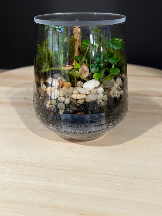 Terrarium 993