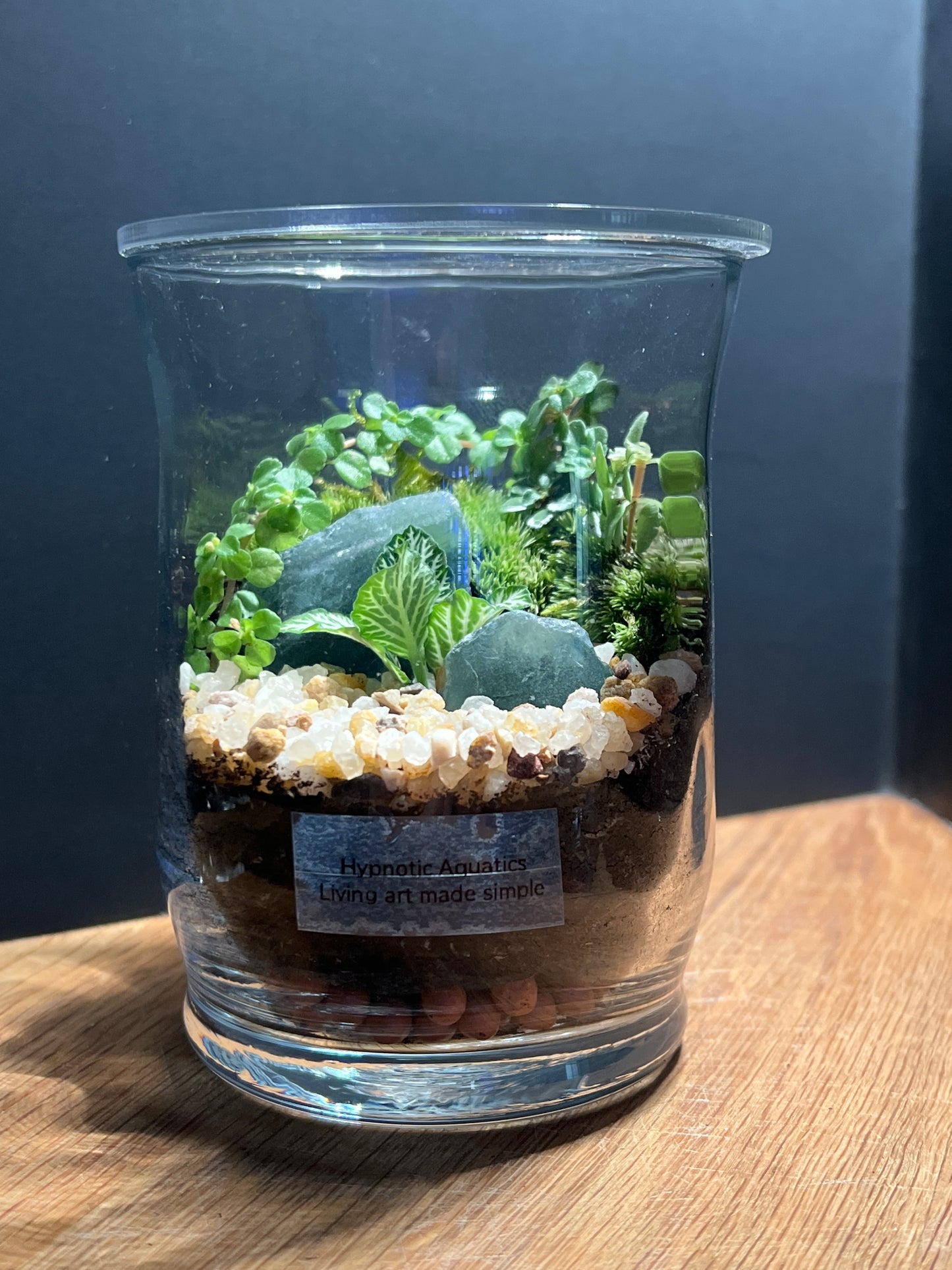 Terrarium 520